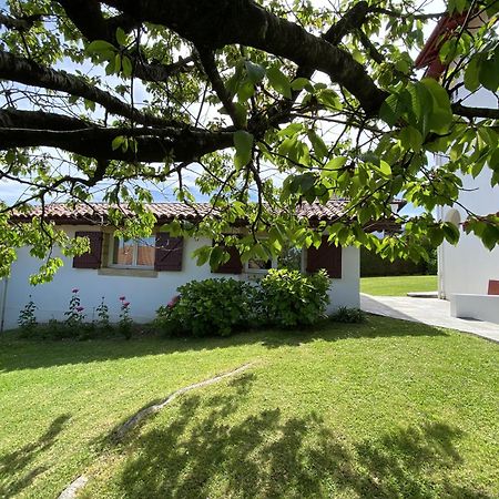 Bed and Breakfast Calicho Urrugne Zewnętrze zdjęcie